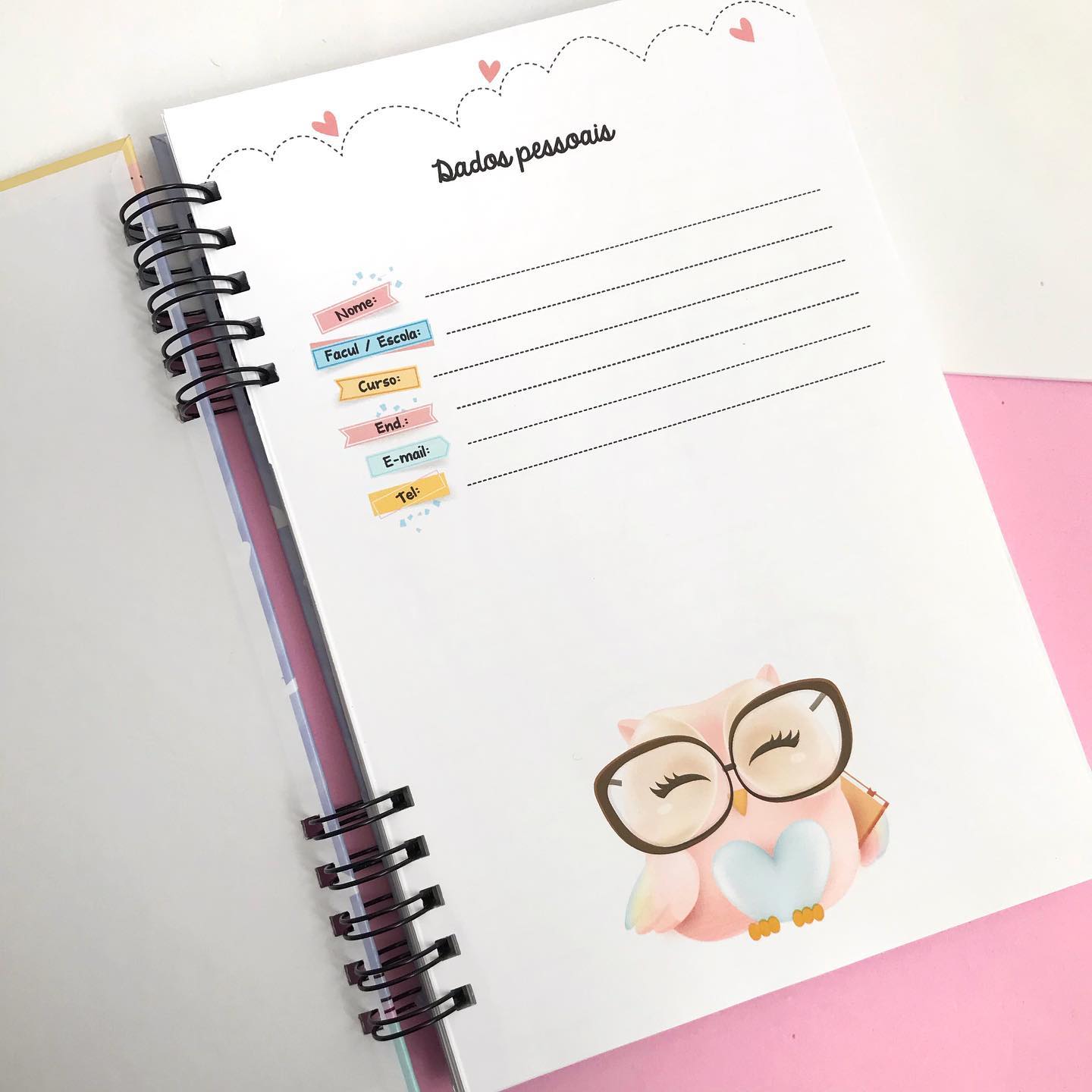 67304847_2482894445100959_7950716735345131520_n